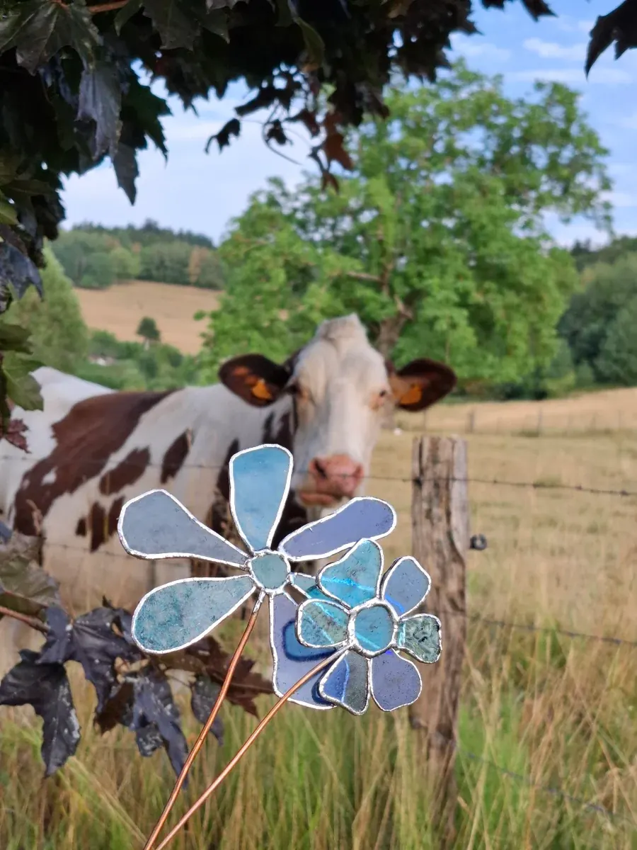 Deux fleurs en verre bleu sur tige présentées en extérieur dans un pré devant une vache.